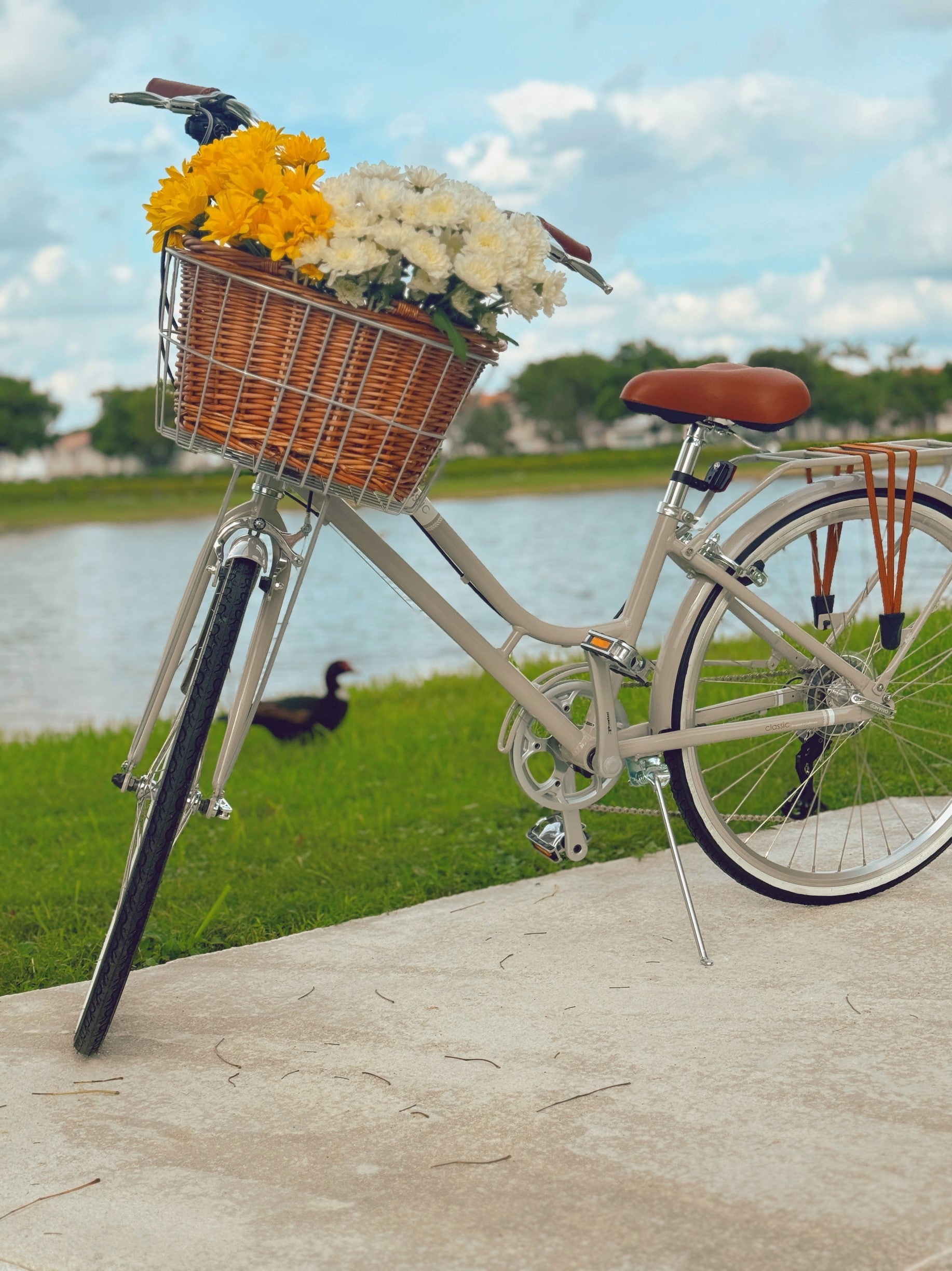 womens-city-bike